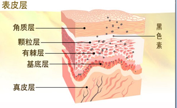 白癜风在临床上有哪几种不同的类型